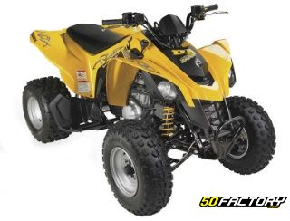 CAN AM DS 250
